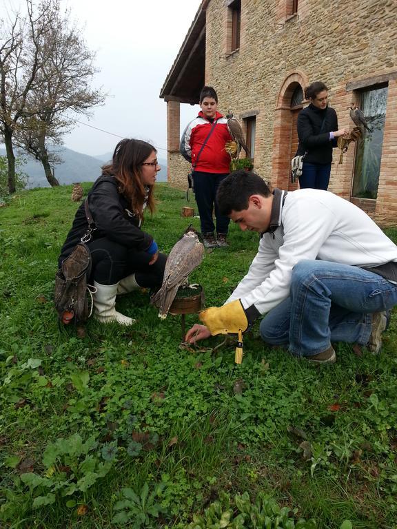 Girfalco Country House Bed & Breakfast Urbino Dış mekan fotoğraf