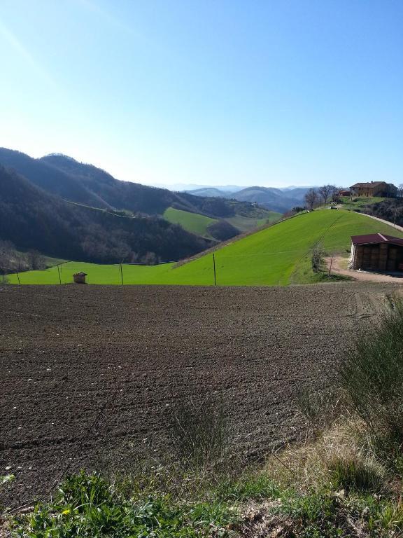 Girfalco Country House Bed & Breakfast Urbino Dış mekan fotoğraf